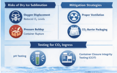 Dry Ice Effects on CO2 Ingress