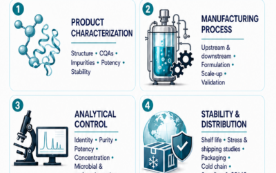 Chemistry, Manufacturing, and Controls (CMC): The Foundation of Successful Biotech Product Development
